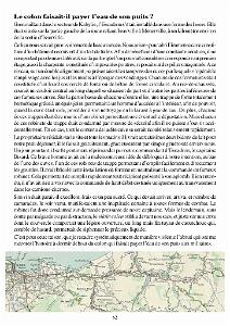 611 PARACHUTISTE AU 1 ER RCP TOME II DE RENE SAUVAGE (66)